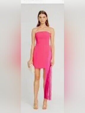 Pink Mini Tassel Dress
